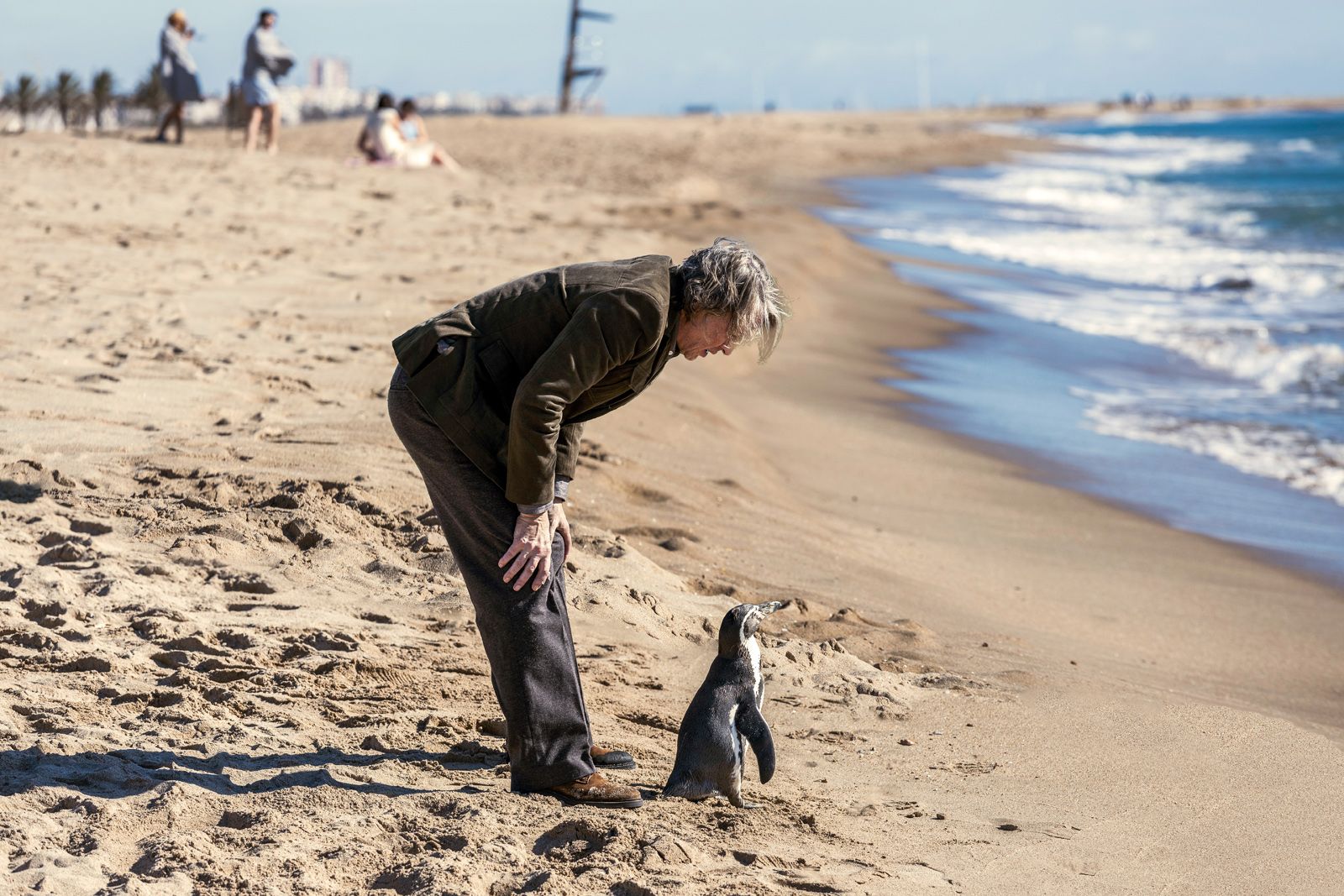 Der Pinguin meines Lebens